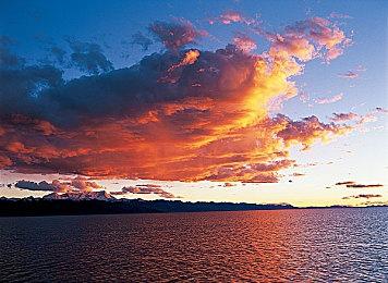 三上真司：将来会开发小型的非恐怖游戏